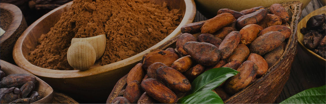 Cacaoboter voor de huid: voordelen, werking en gebruik